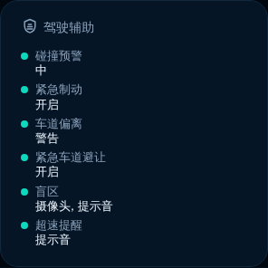 预览：驾驶辅助